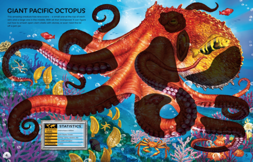 Usborne Build Your Own Deadly Animals & Sea Creatures Sticker Book